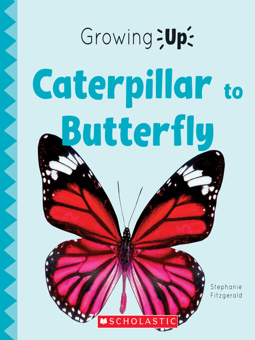 Title details for Caterpillar to Butterfly by Stephanie Fitzgerald - Available